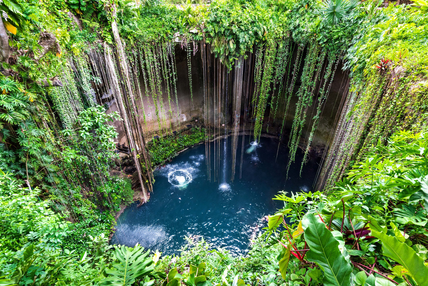 The Wellness Bucket List