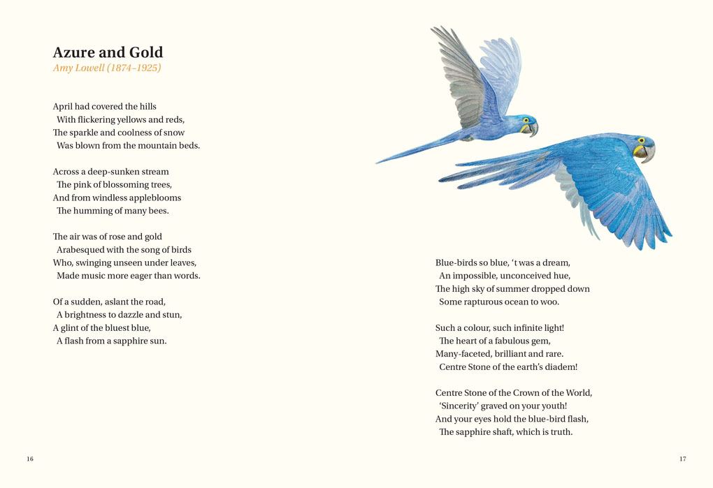 Book of Bird Poems