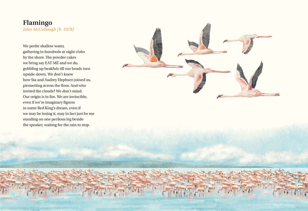Book of Bird Poems