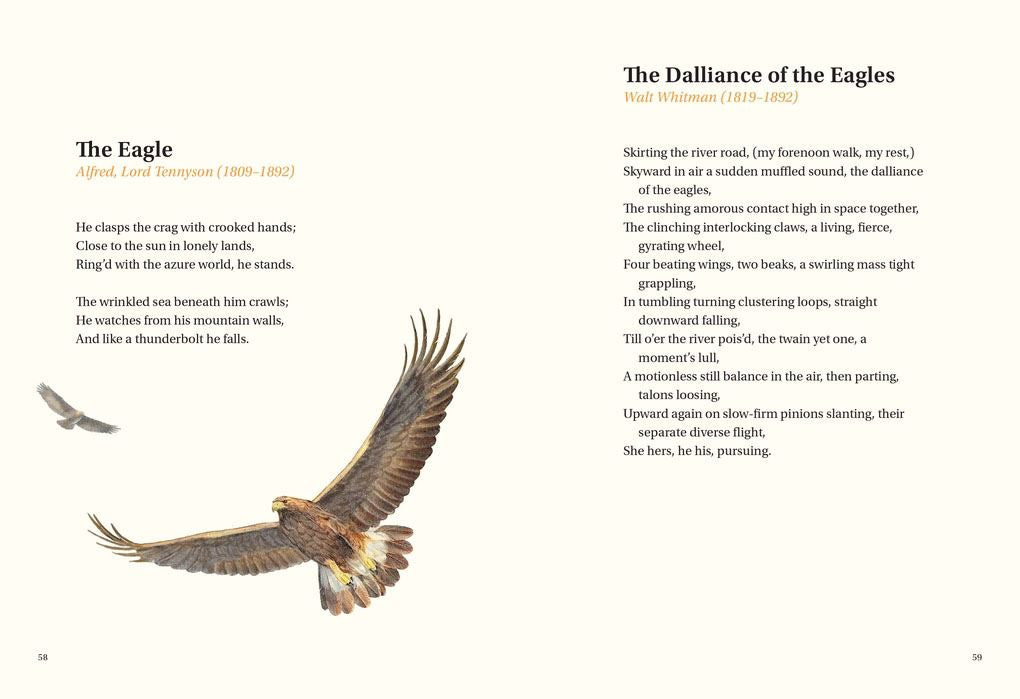 Book of Bird Poems