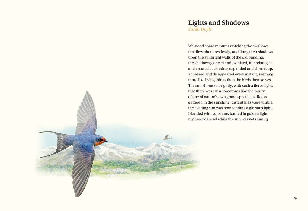 Book of Bird Poems