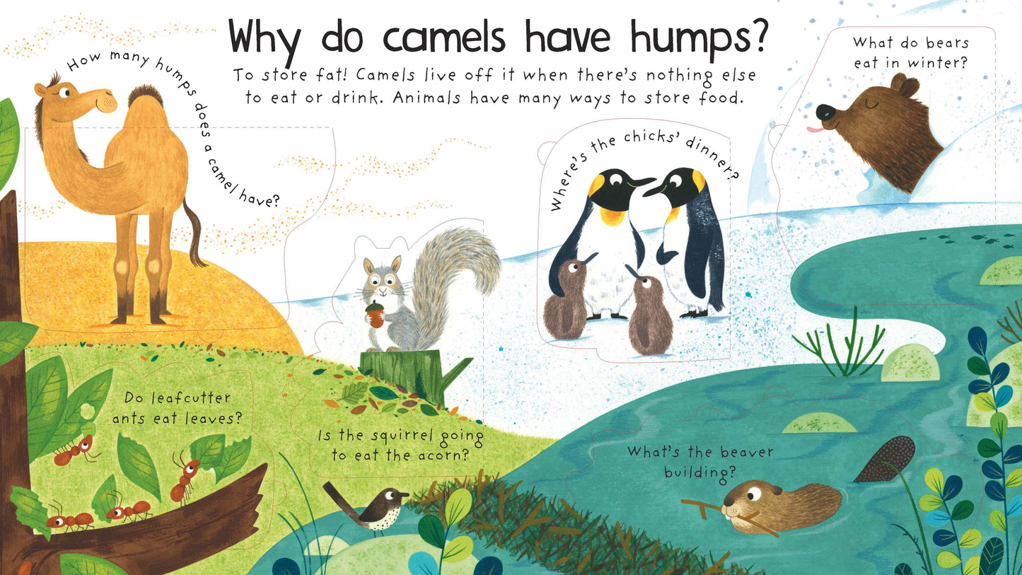 Why Do Tigers Have Stripes (Lift the Flap)