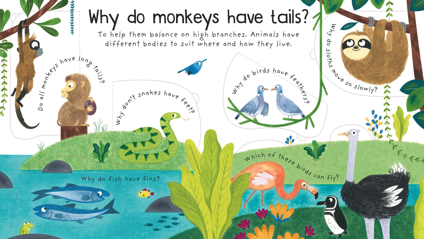 Why Do Tigers Have Stripes (Lift the Flap)