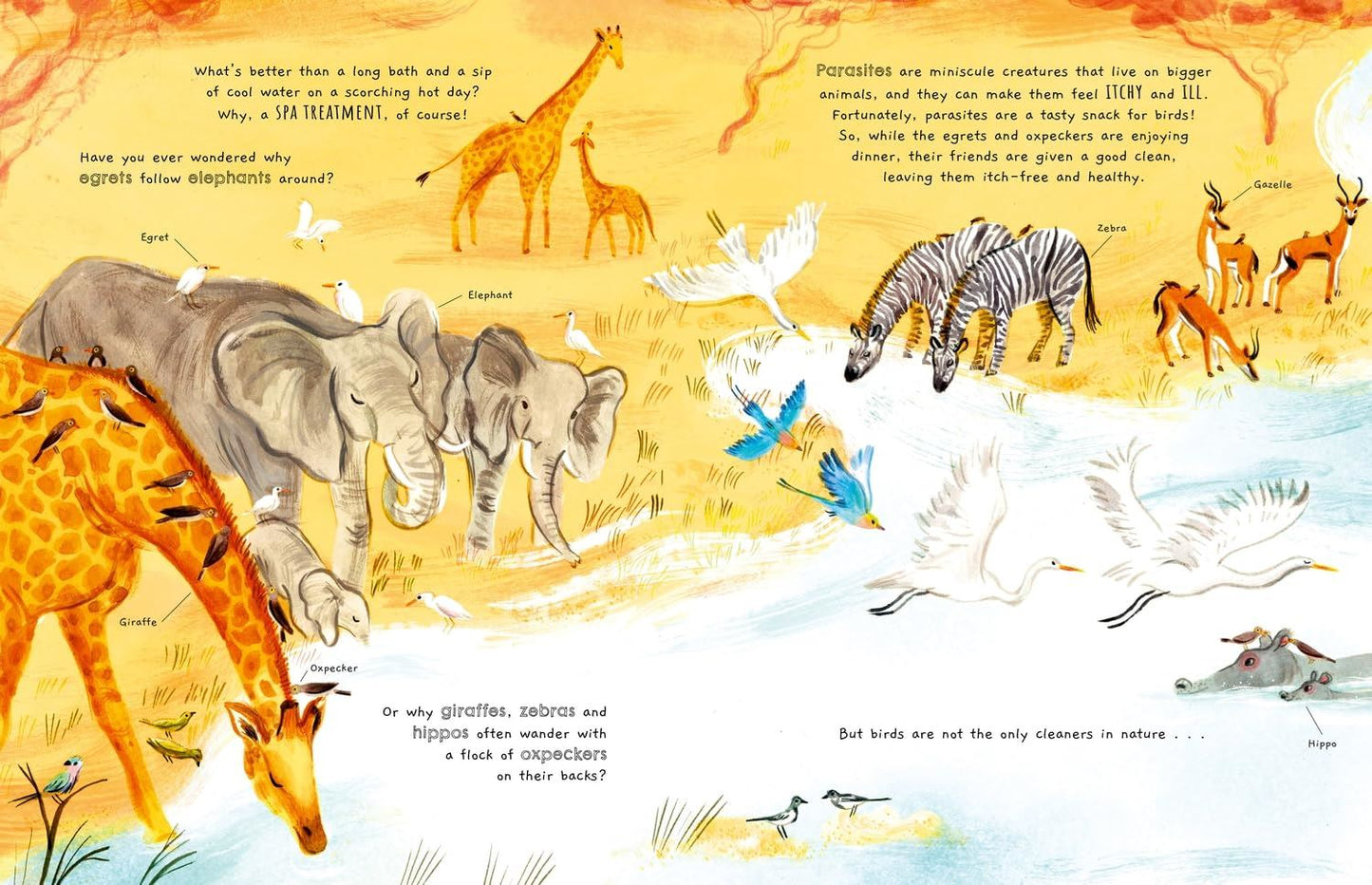 Friends in Nature: Discovering Earths Amazing Ecosystems