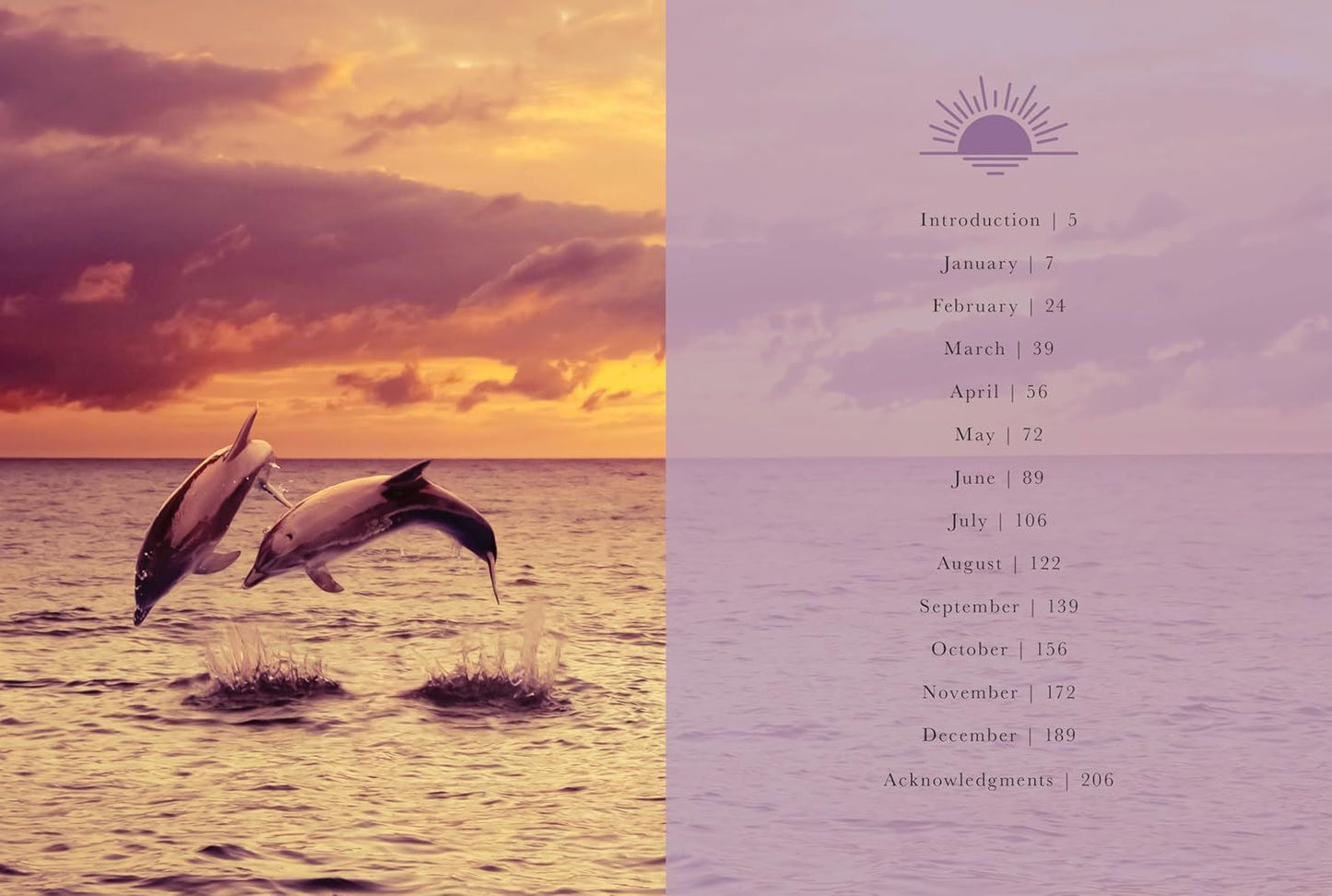 Sunset Gratitude