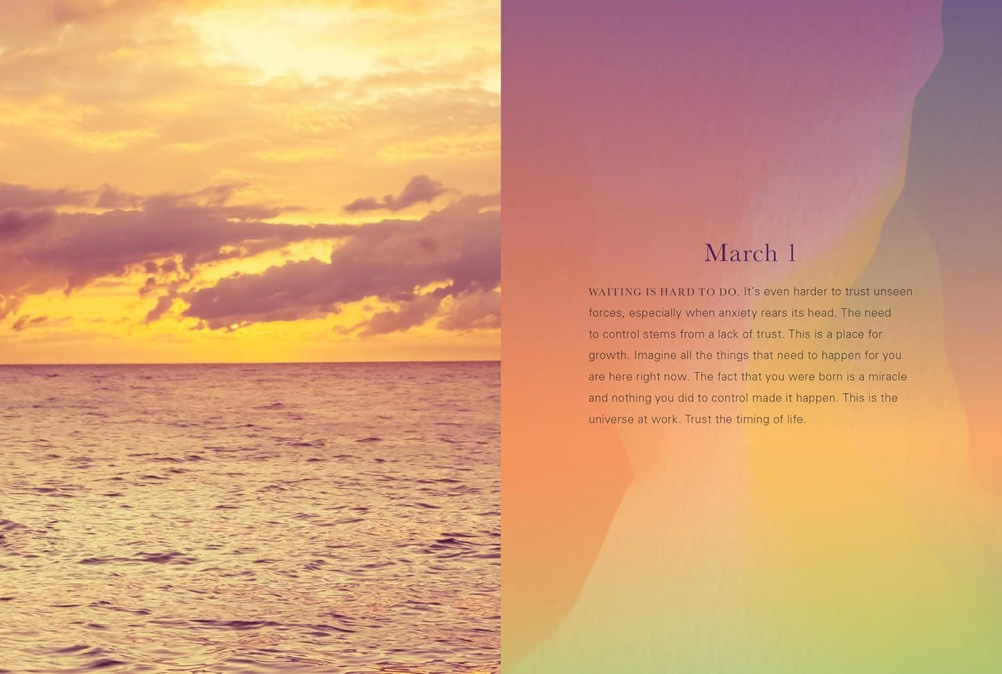 Sunset Gratitude