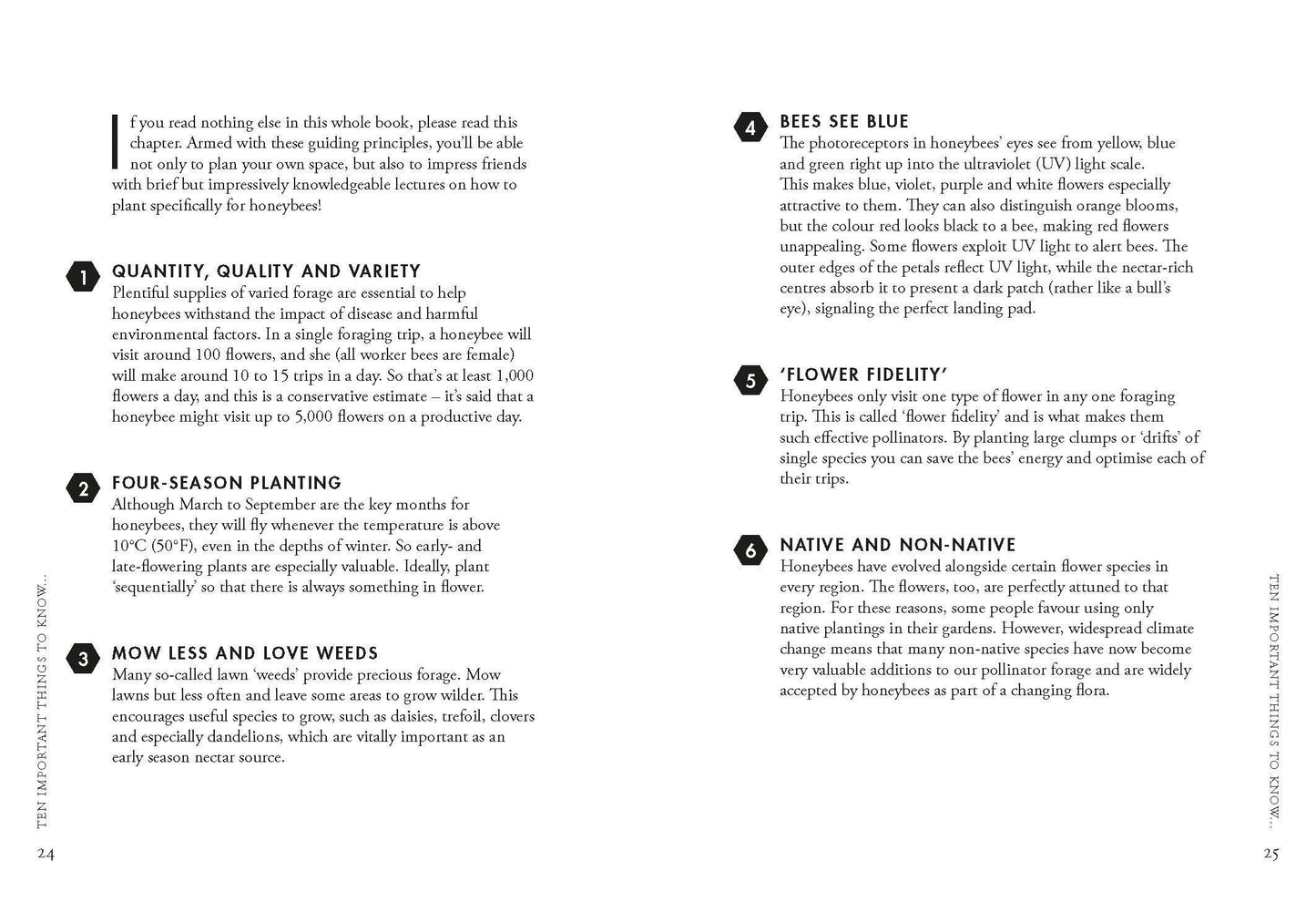 Planting for Honeybees