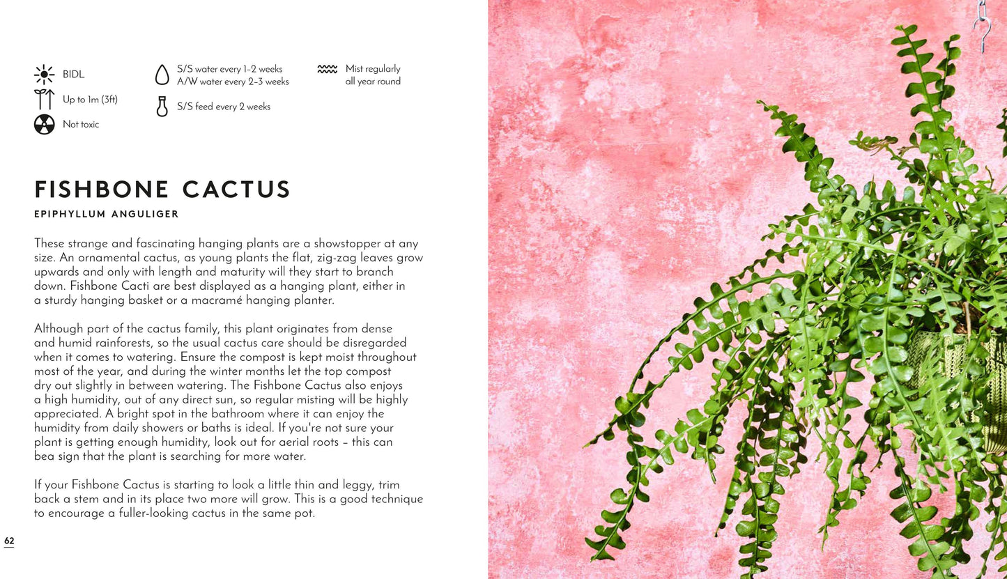 Little Book Big Plants