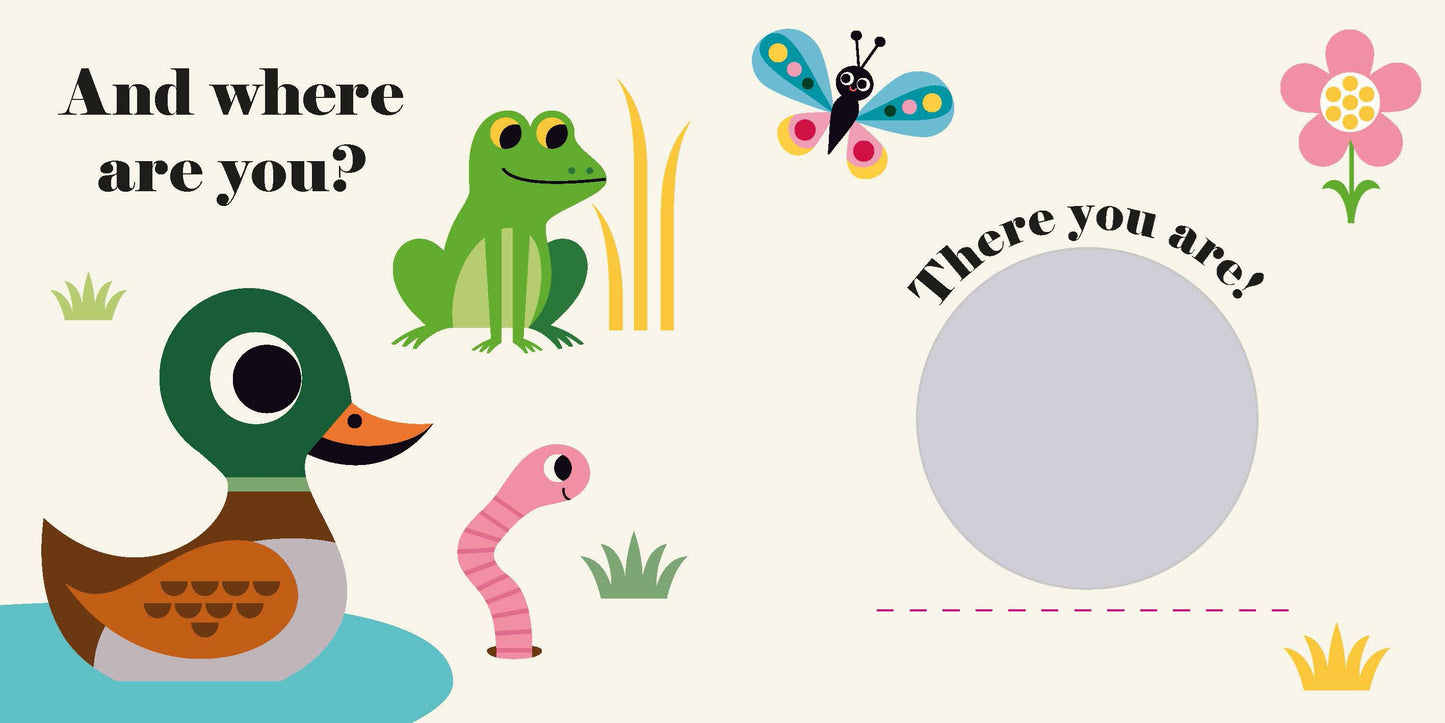 Where's Mr Duck (Board Book)