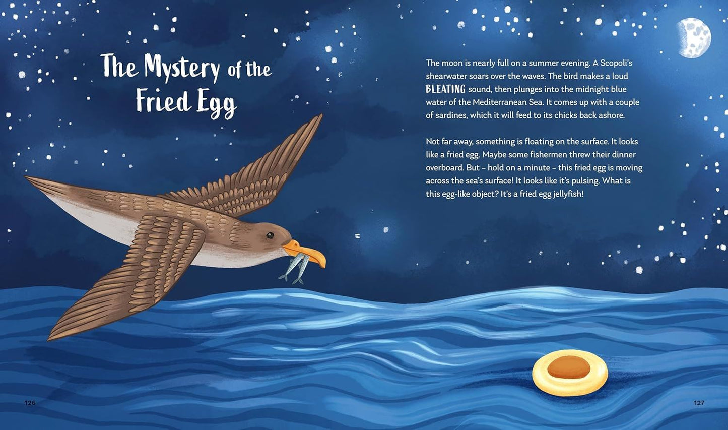 Secrets of the Ocean: 15 Bedtime Stories