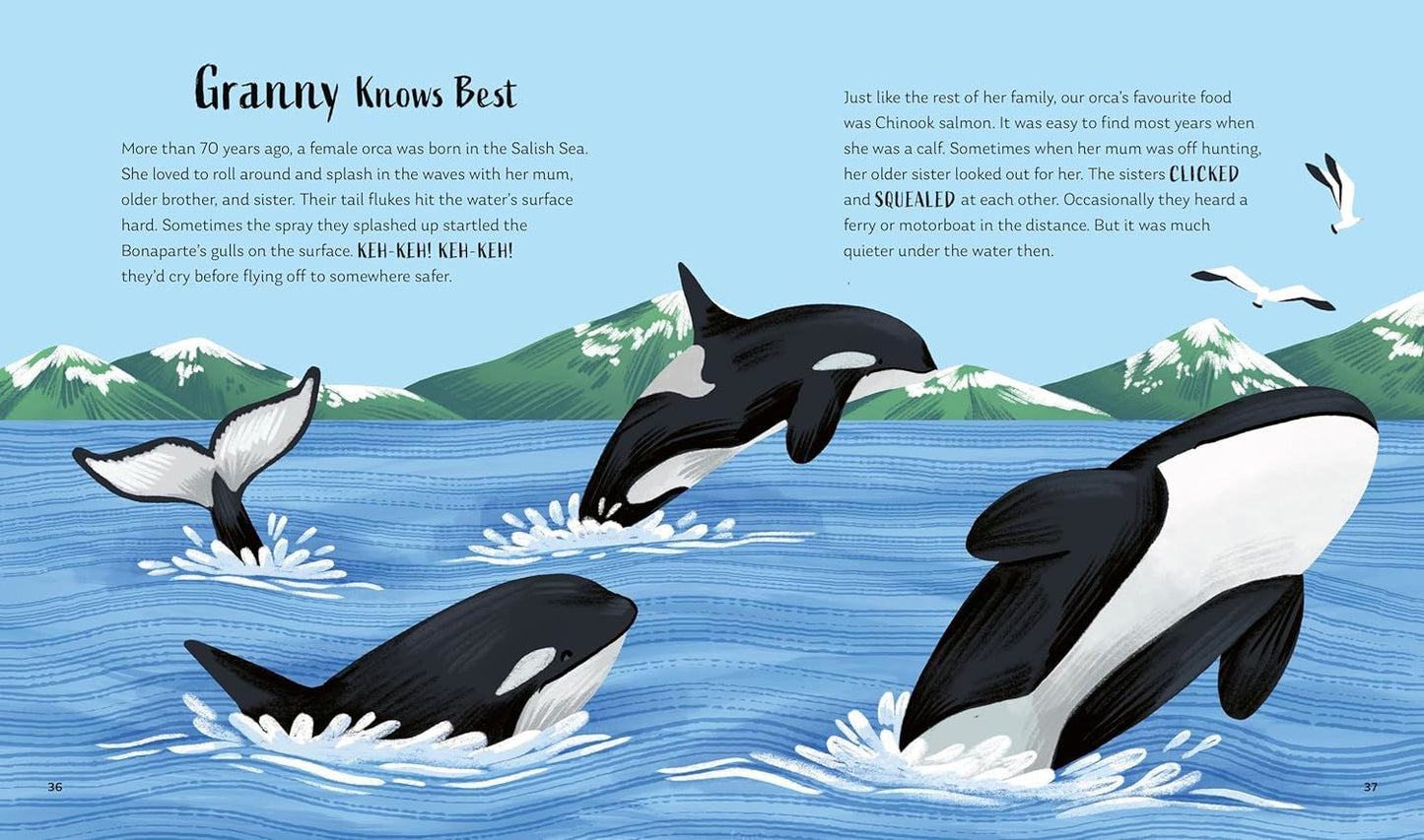 Secrets of the Ocean: 15 Bedtime Stories
