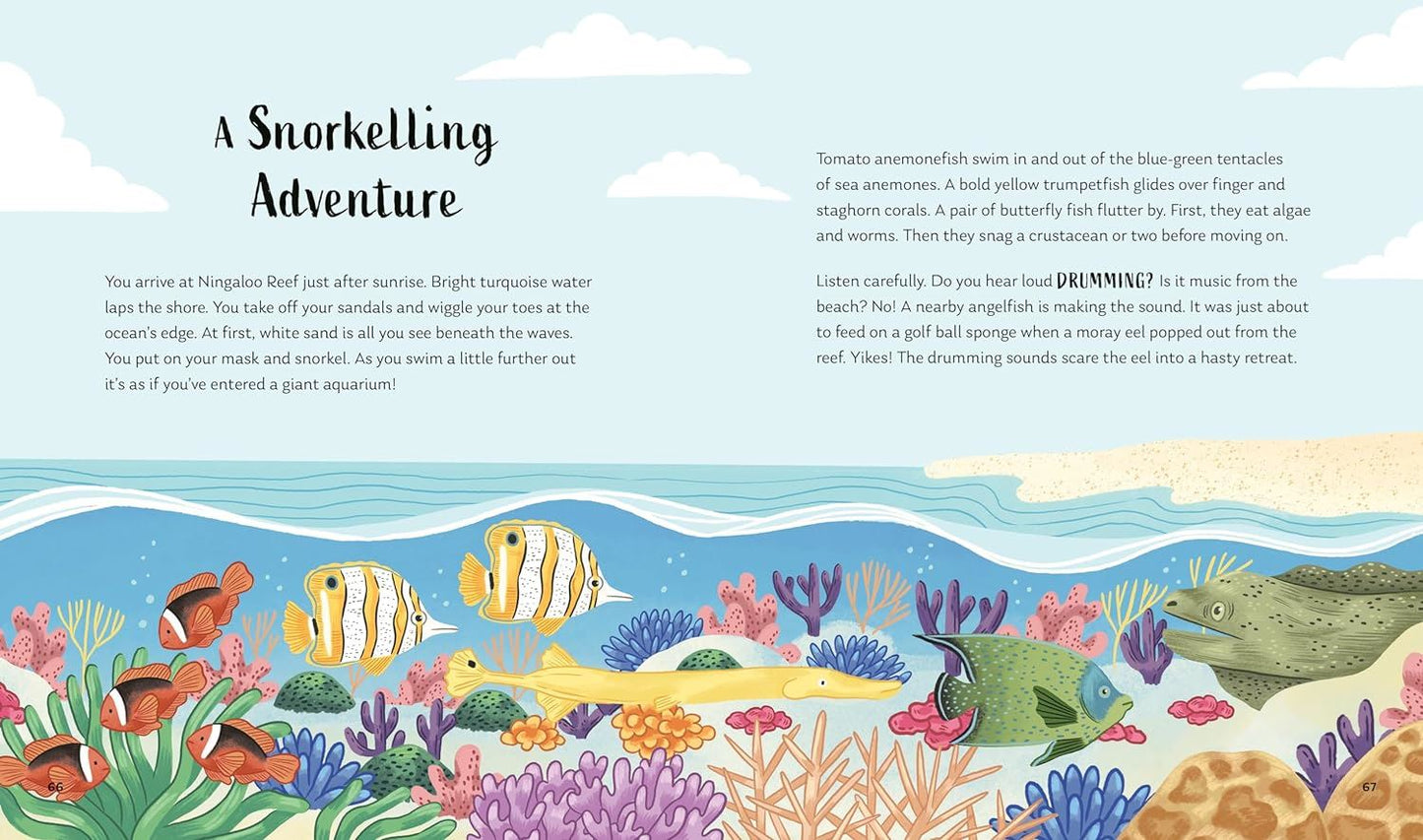 Secrets of the Ocean: 15 Bedtime Stories