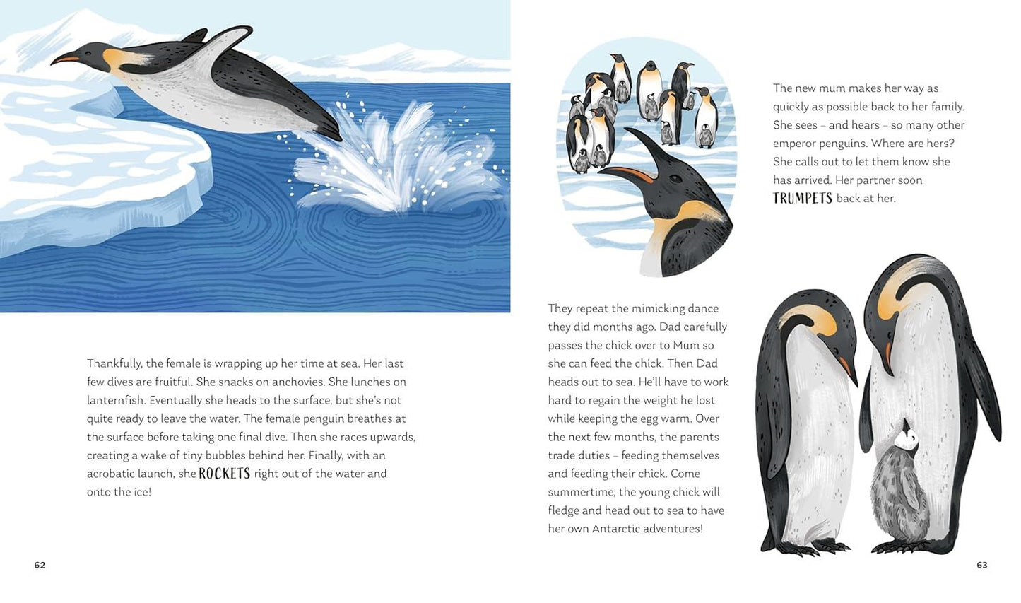 Secrets of the Ocean: 15 Bedtime Stories