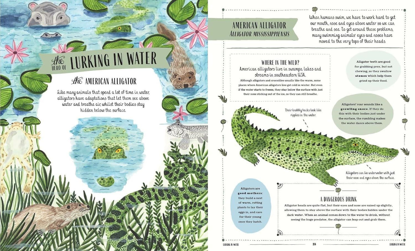 Wild: A Childs Guide to the Animal Kingdom