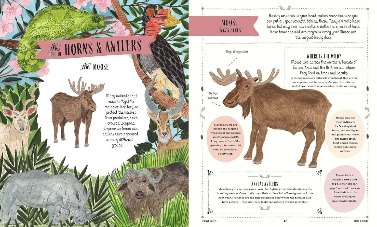 Wild: A Childs Guide to the Animal Kingdom
