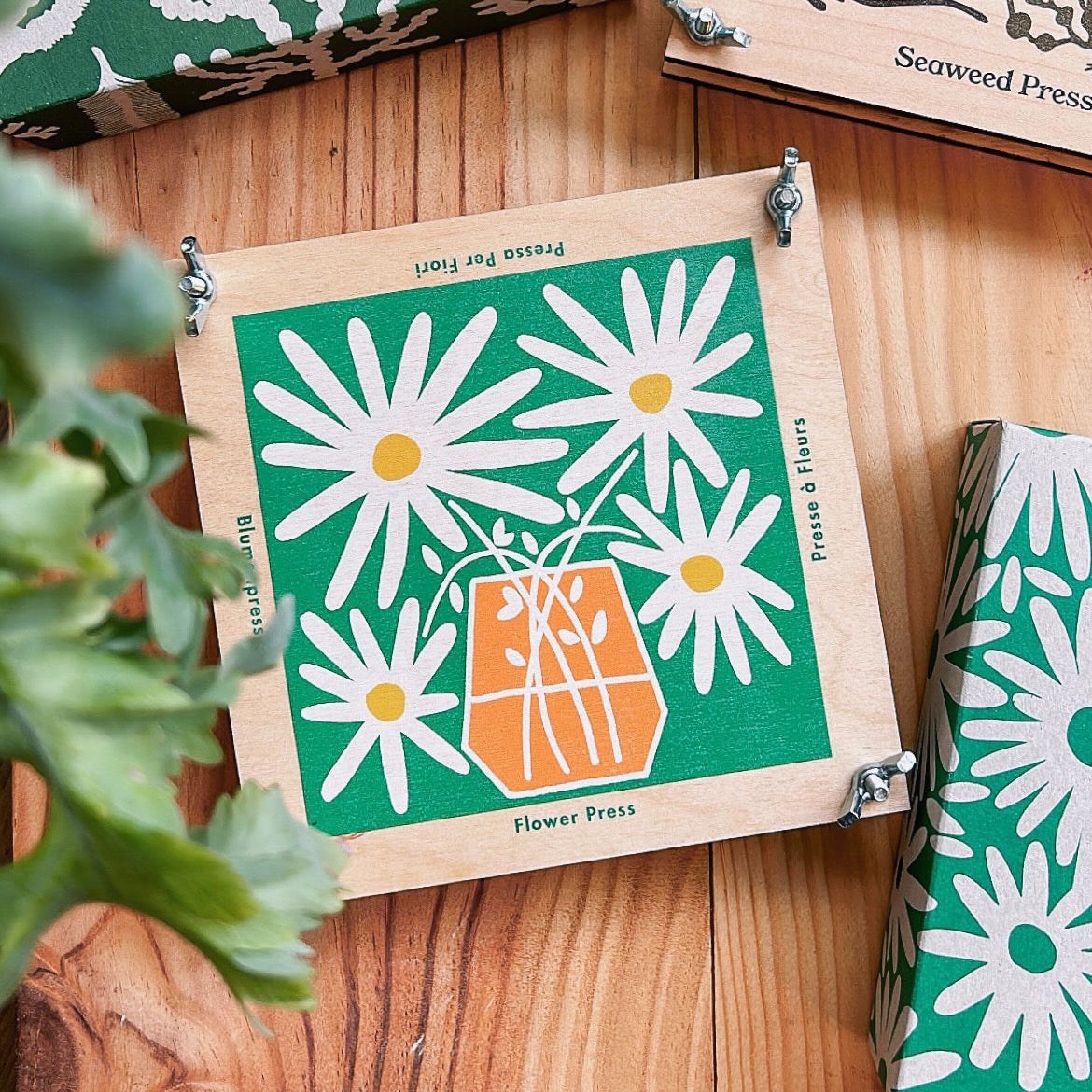 Daisy Flower Press