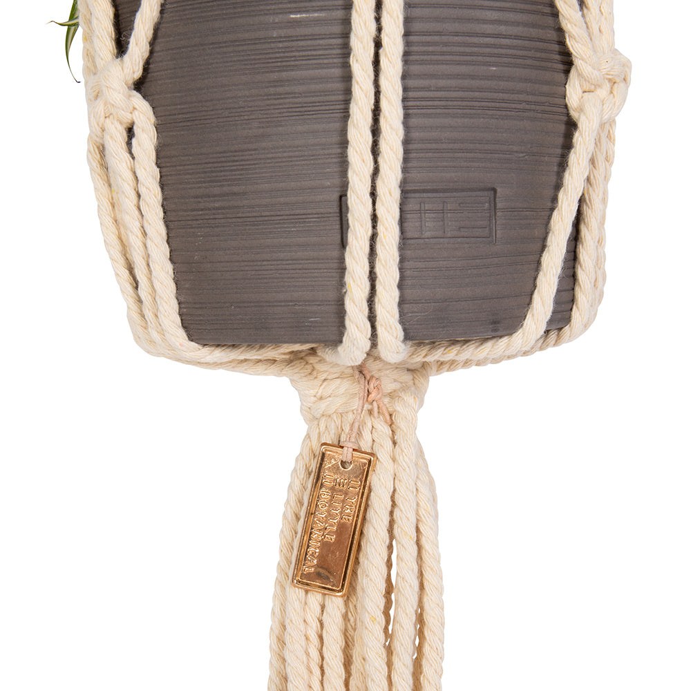 Macrame Plant Hanger - Large