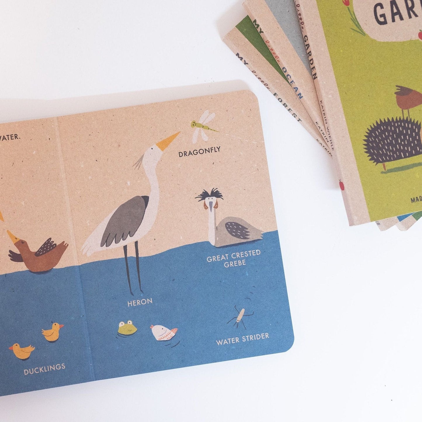 My Little Pond (Board Book 100% Recycled)