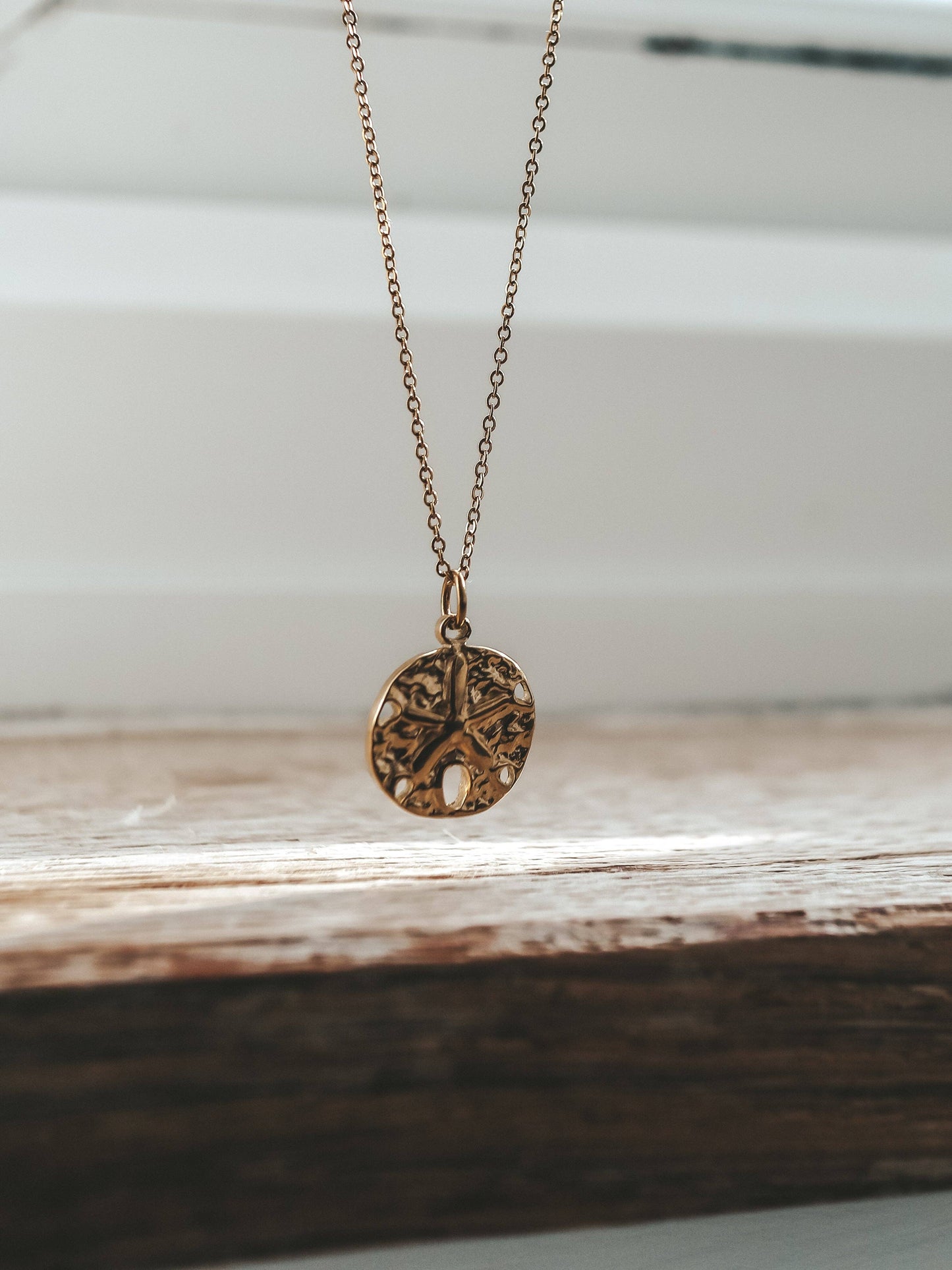 Sand Dollar Charm Gold Necklace