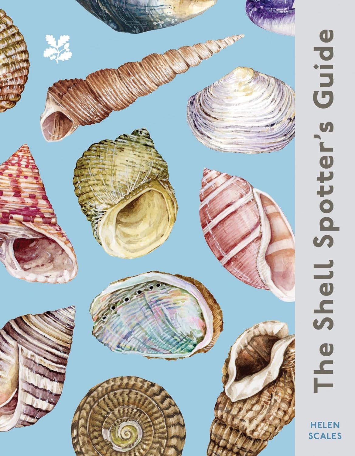 Shell Spotter's Guide