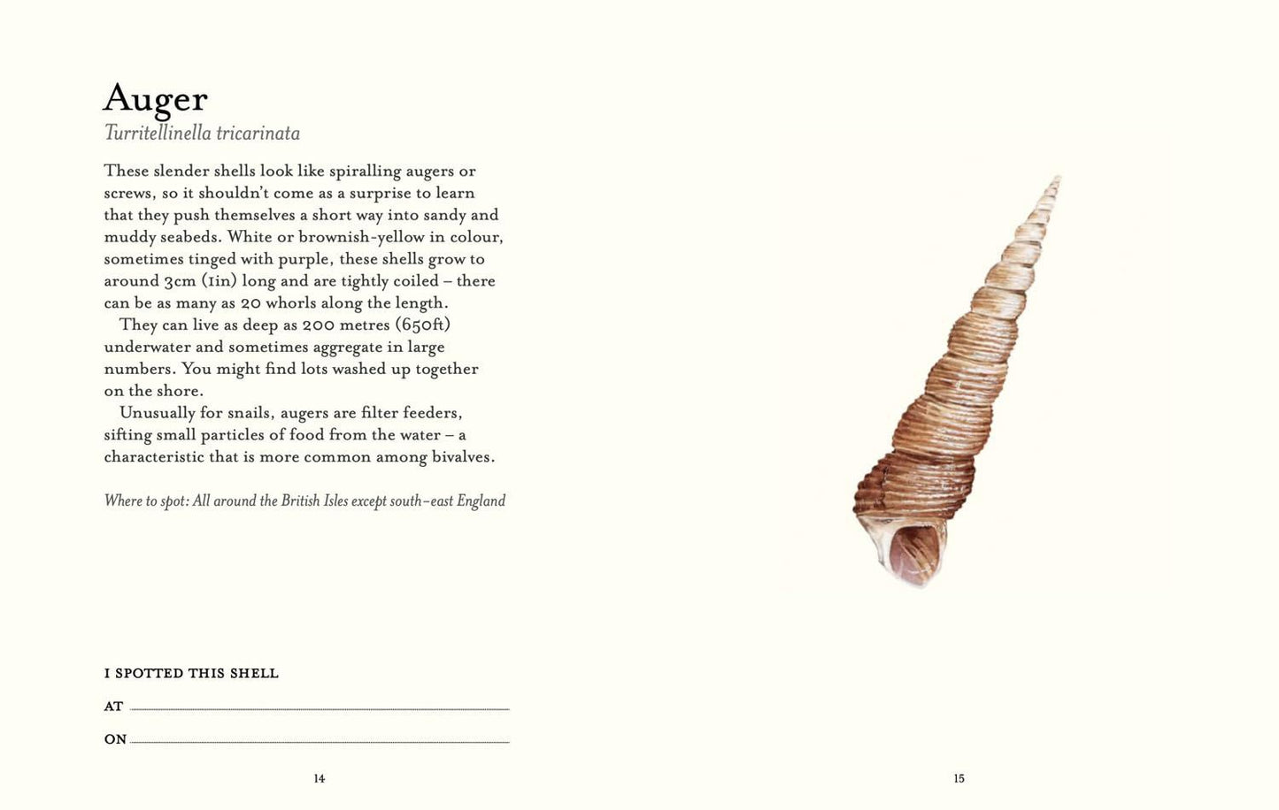 Shell Spotter's Guide
