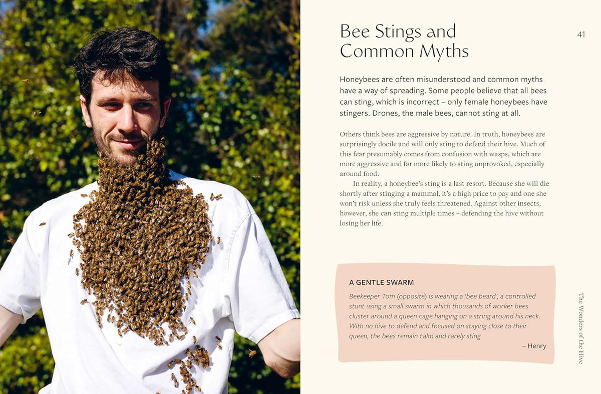 Honeybees: The Wonders of the Hive and How to Help Them