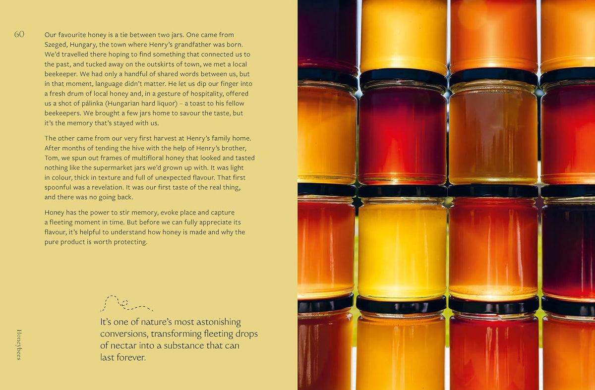 Honeybees: The Wonders of the Hive and How to Help Them