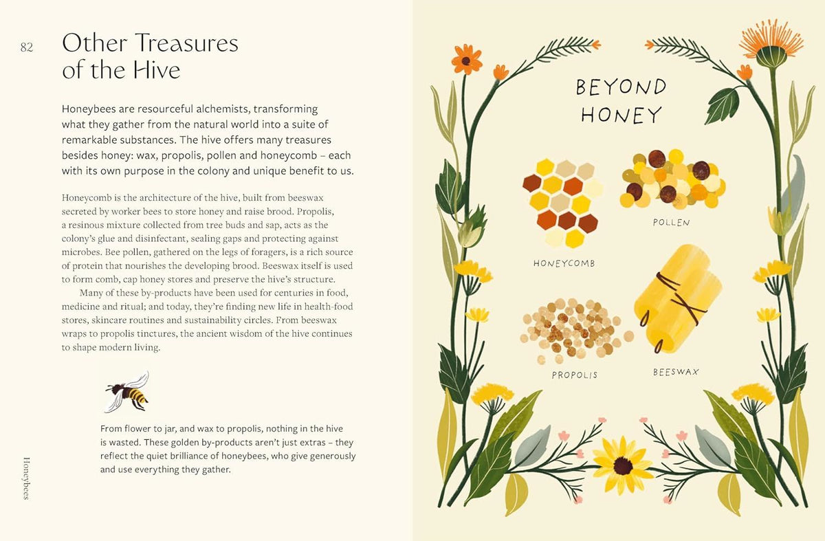 Honeybees: The Wonders of the Hive and How to Help Them