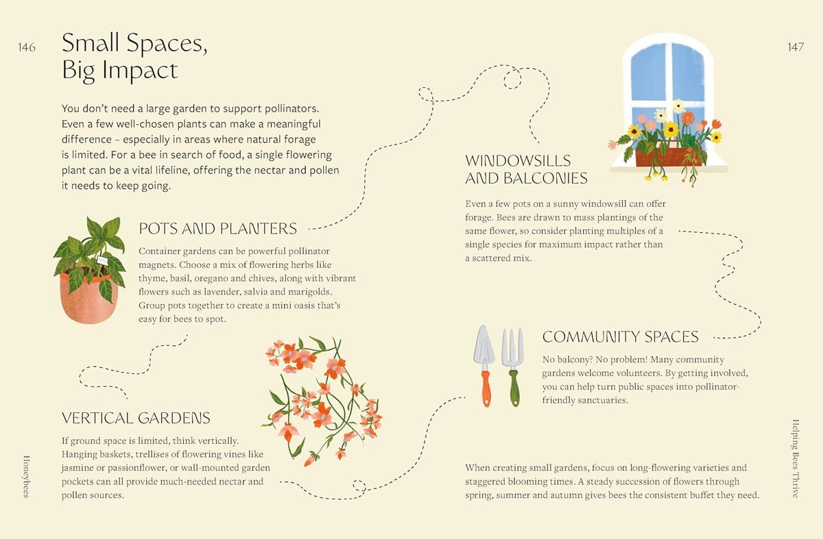 Honeybees: The Wonders of the Hive and How to Help Them