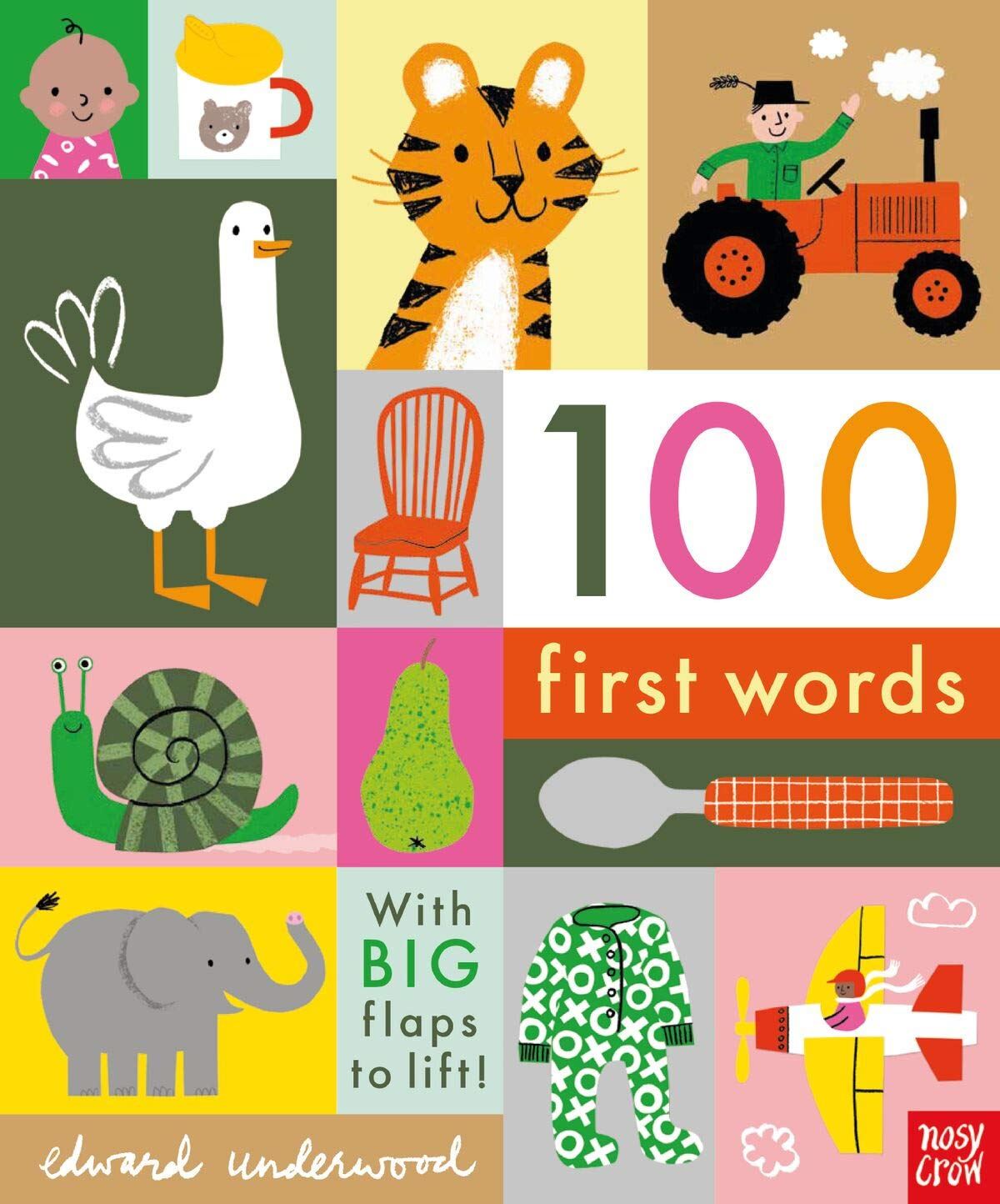 100 First Words (Lift the Flap)