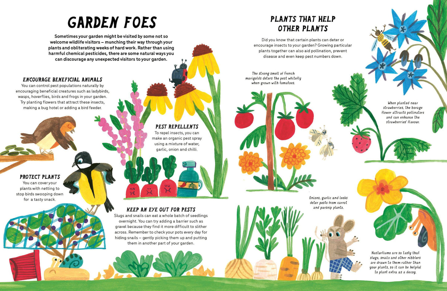 The Little Gardeners Handbook