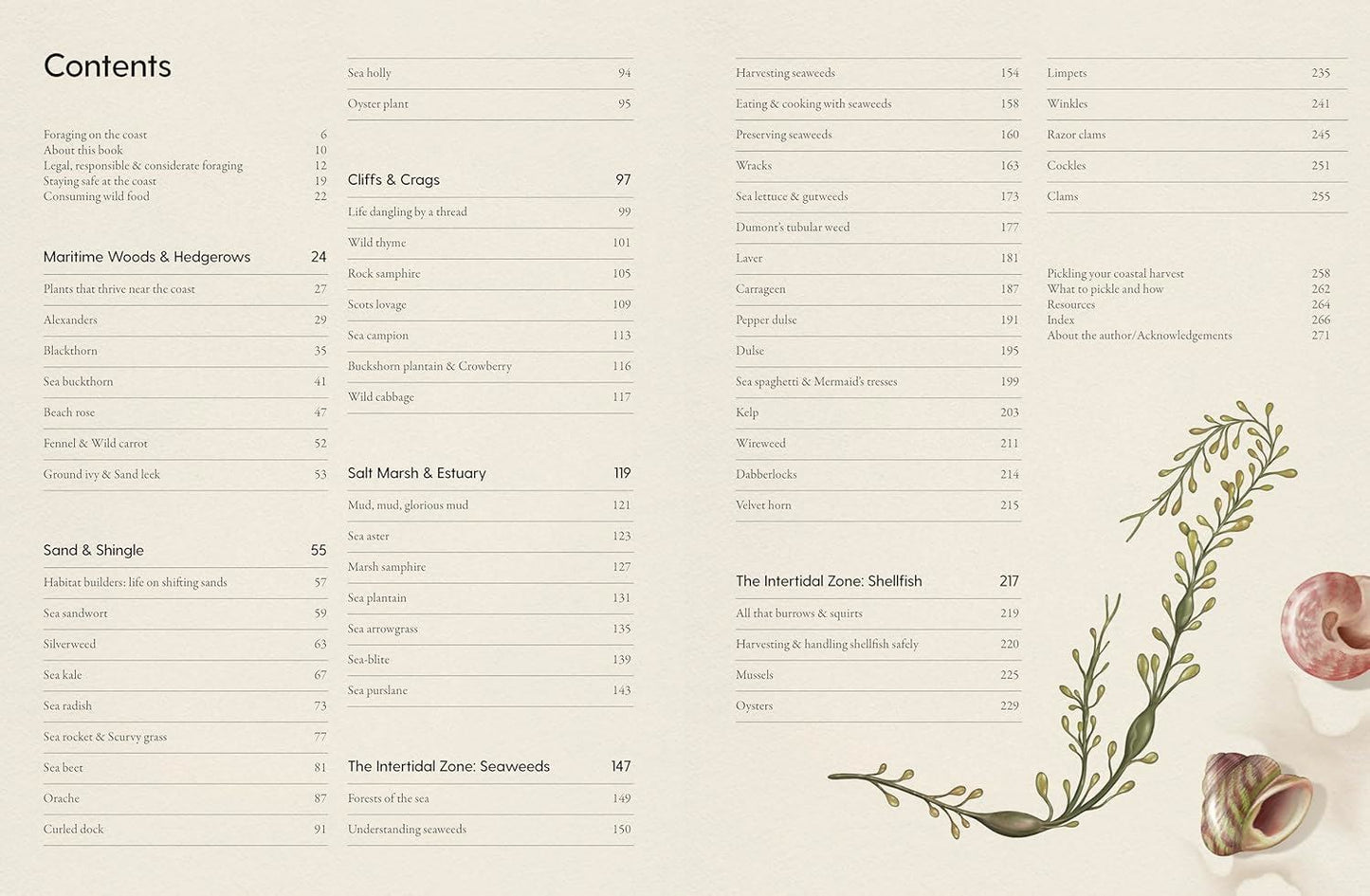 The Coastal Forager