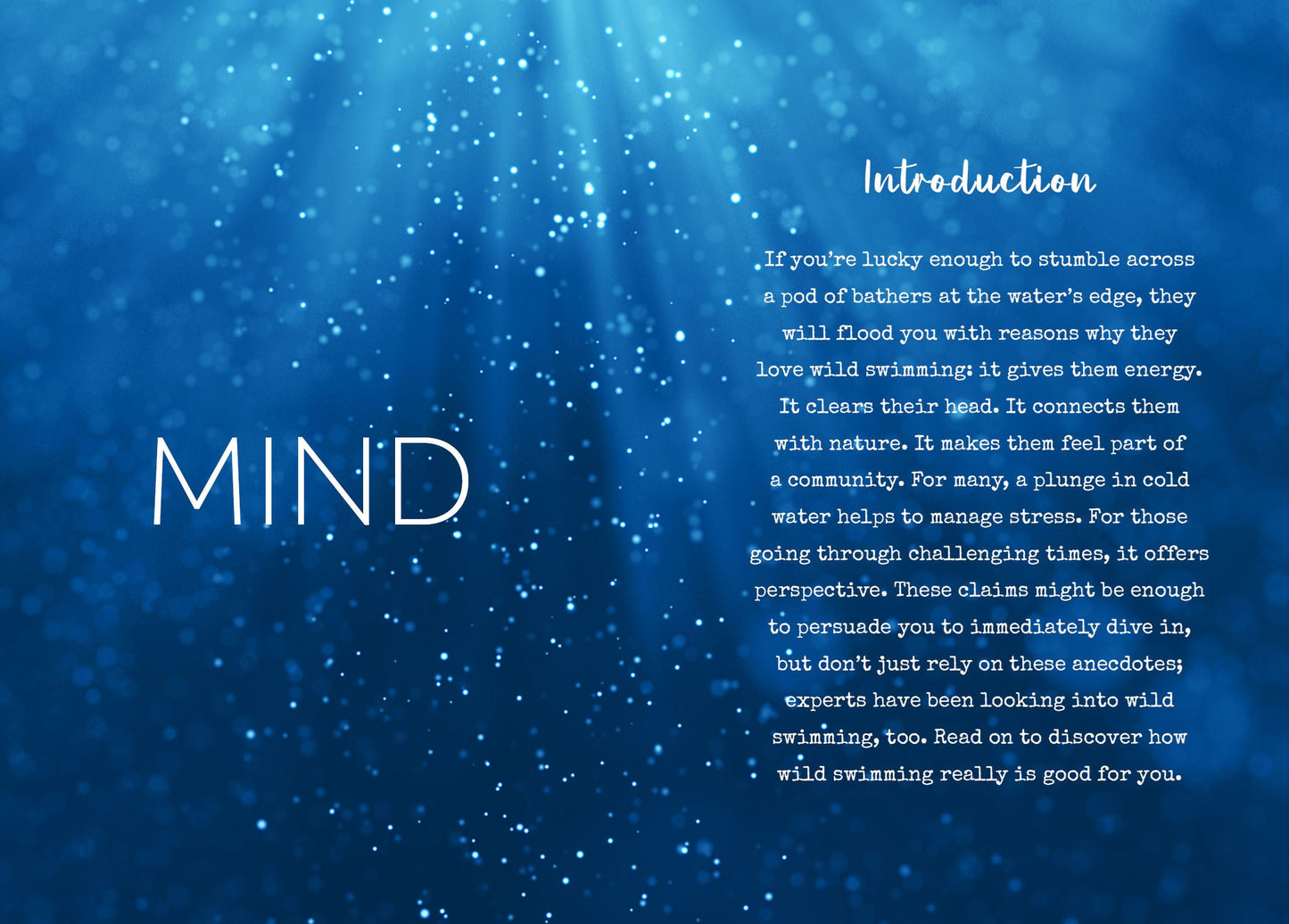 Little Book for Wild Swimmers