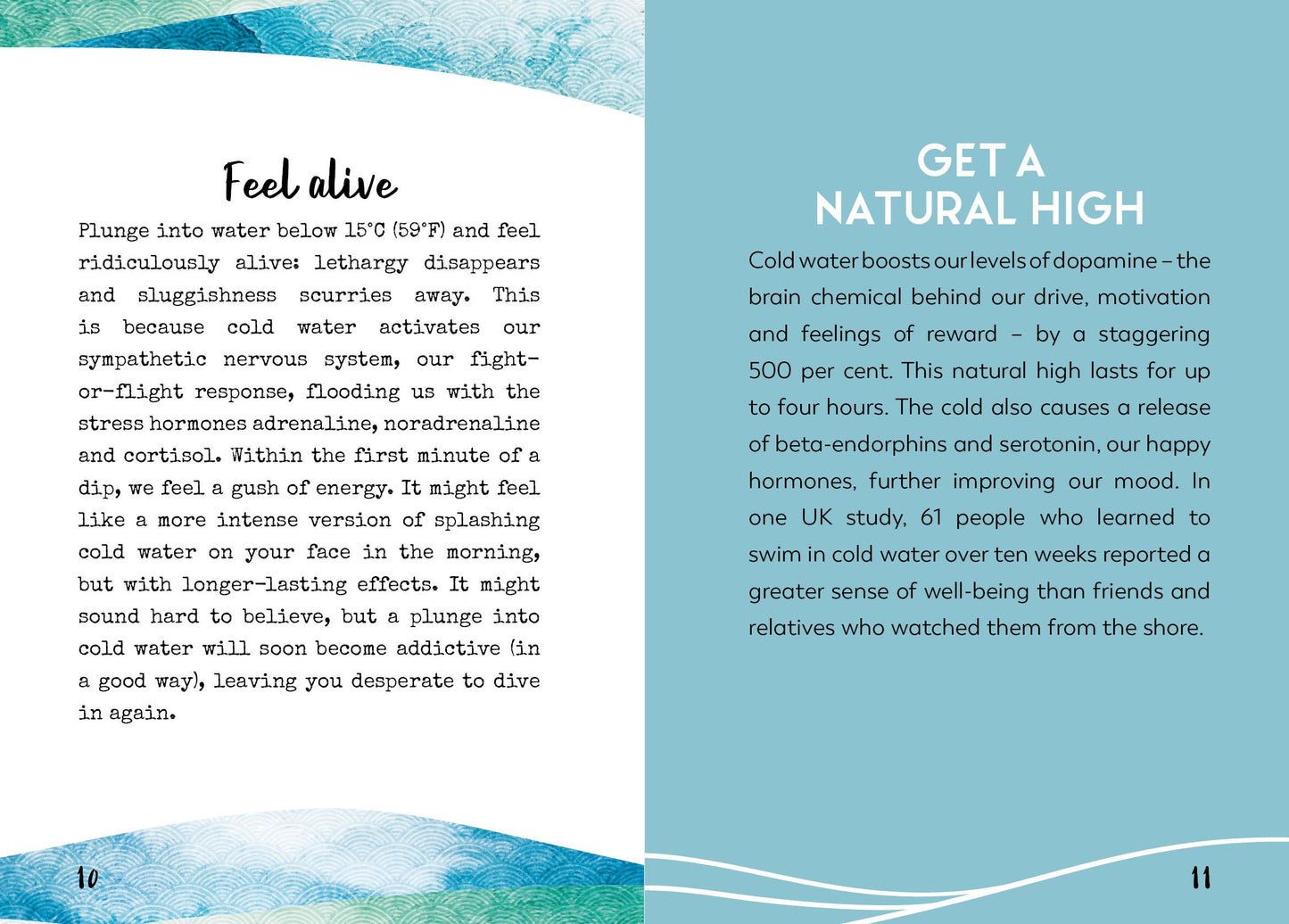 Little Book for Wild Swimmers