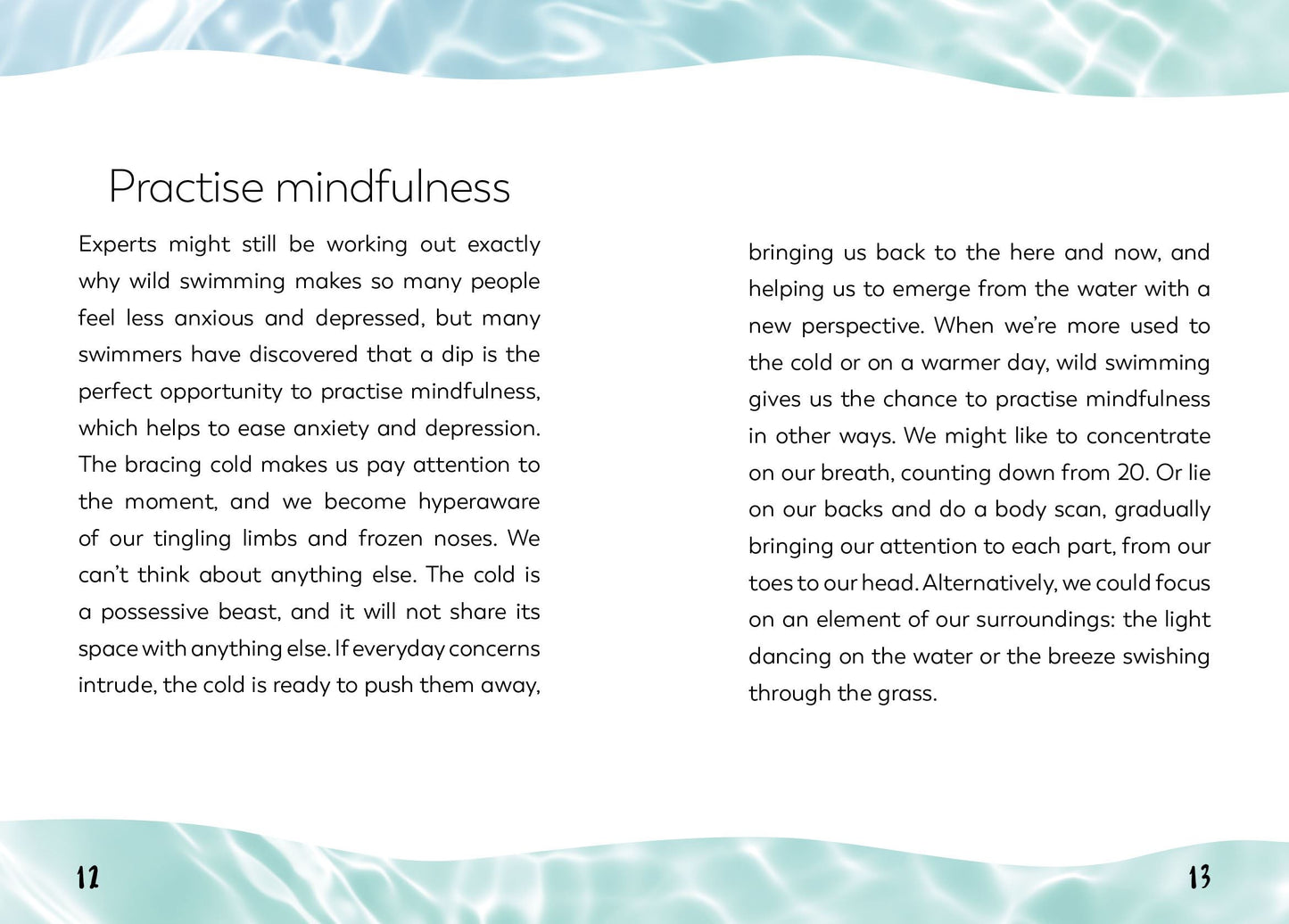 Little Book for Wild Swimmers