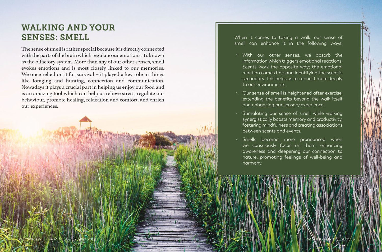 Walking for Mind Body and Soul