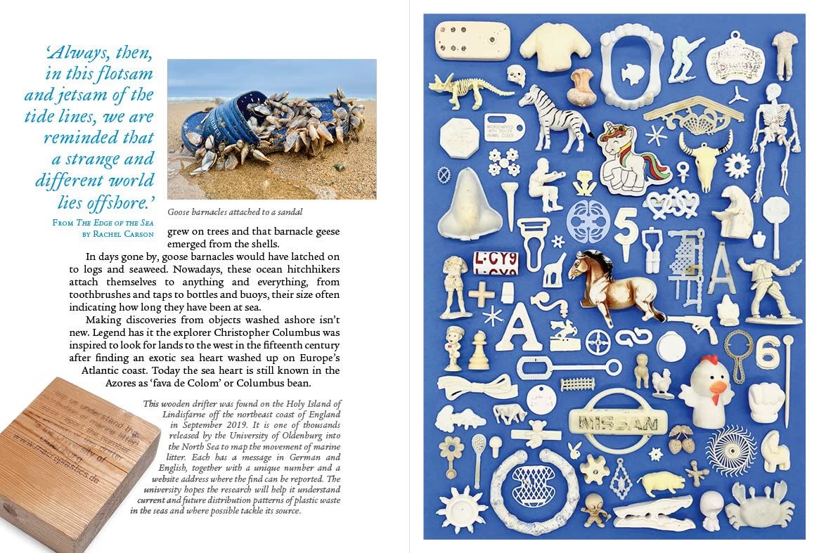 Adrift: The Curious Tale of the Lego Lost at Sea