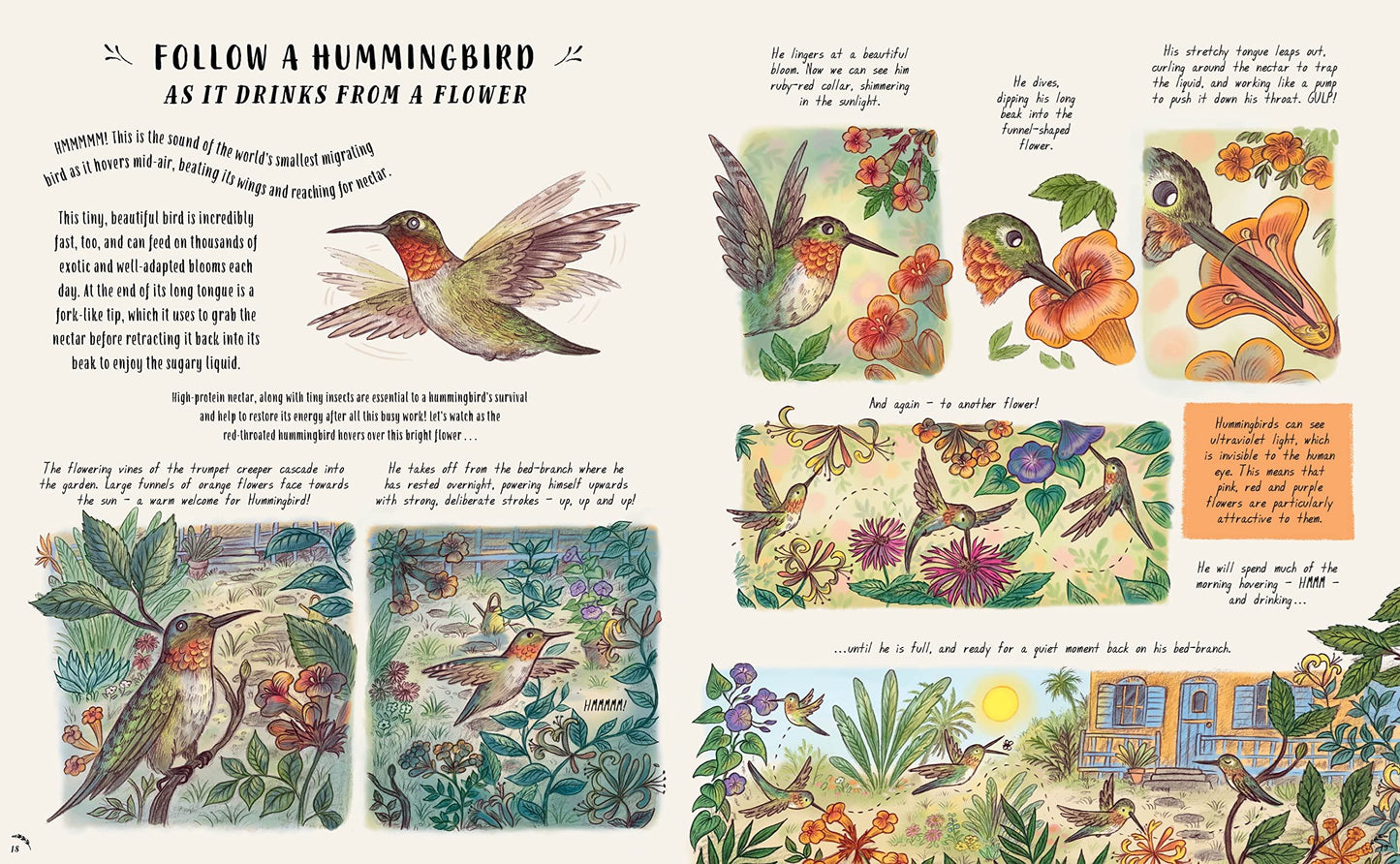 Slow Down and Be Here Now