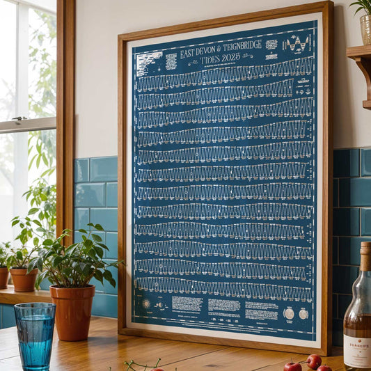 East Devon & Teignbridge Tide Chart 2025