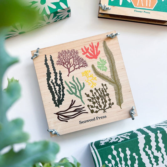 Seaweed Press Kit