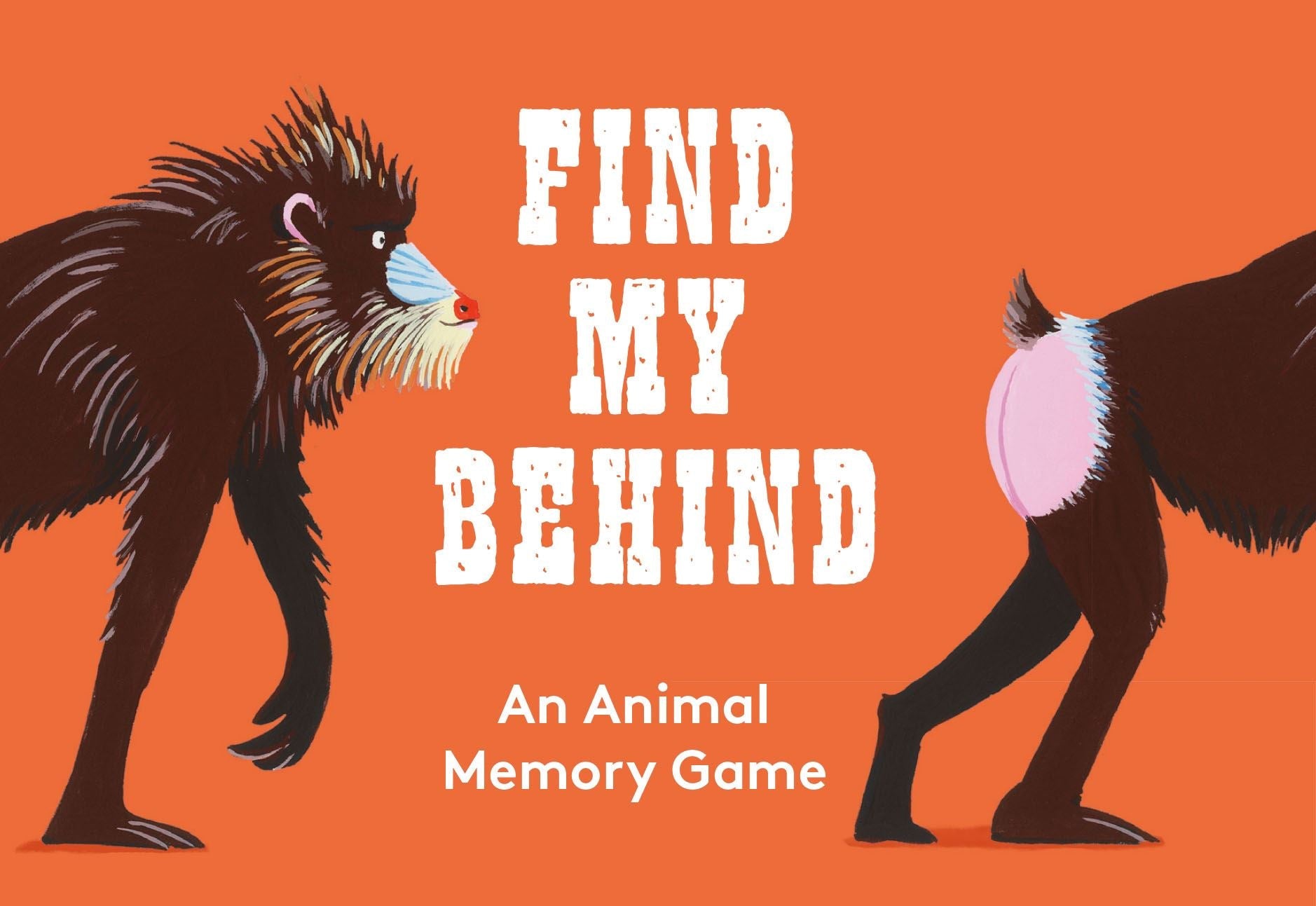 Find My Behind: An Animal Memory Game – ROAM - Inspired Goods for Wild ...
