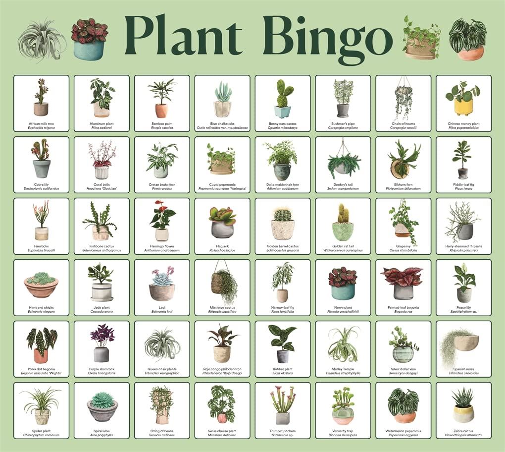 Plant Bingo