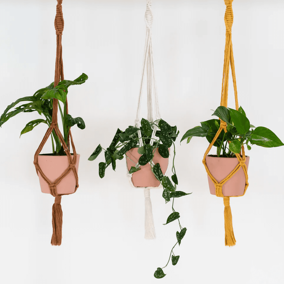 Stitch Happy Macrame Plant Hanger Kit